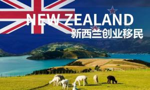新西兰创业移民