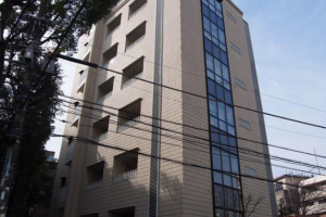 日本东京港区南麻布二手公寓