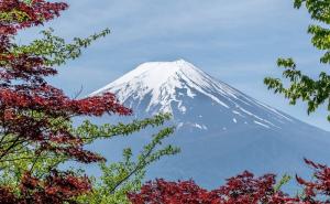 2020年度日本房产投资总结，2021年房价涨势怎样？
