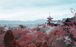 五年日本签证可以免税么？五年日本签证如何申请