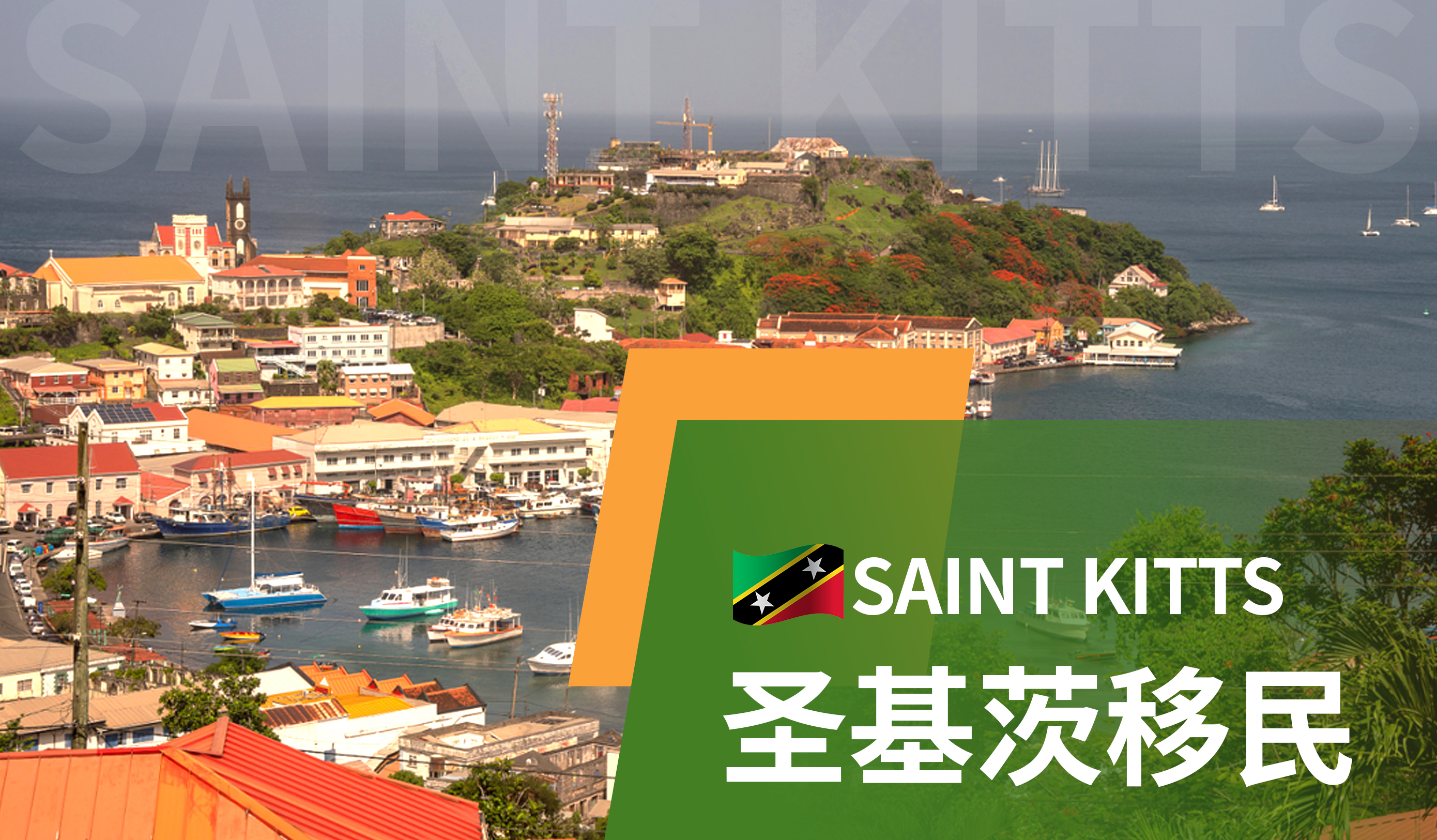 圣基茨和尼维斯护照